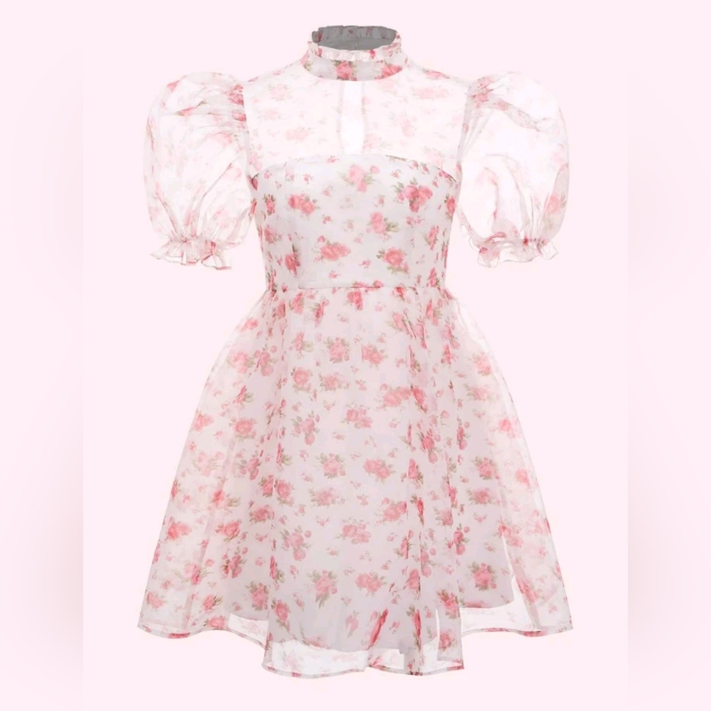 Ditsy Floral Organza Dress